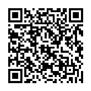 否则我这个城主已经替你们找到了杀人凶手和幕后主使二维码生成