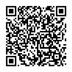 否则谁来告诉他们该如何从这些湿婆宗弟子口中获得湿婆宗的buff秘术啊二维码生成