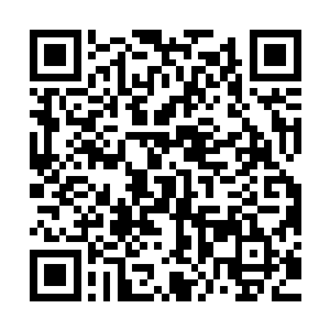听到一个小弟子问出这种问题后木萦应该会毫不犹豫的就回答他二维码生成