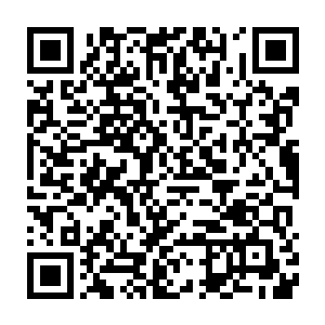 听着周大管事派来的婆子在外间一五一十说了刚才灵堂里发生的事二维码生成