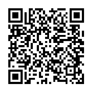 听说他们最近打算去司天监向那里的鸿儒讨教什么函数二维码生成