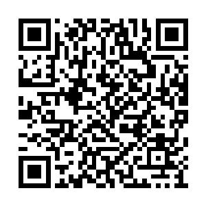 听说你们府上一连抬了好几个血肉模糊的人进去二维码生成