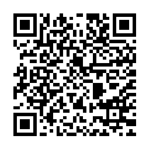 听说这是周家带着彩礼还有阵法师去白虎股给百花谷修缮阵法呢二维码生成