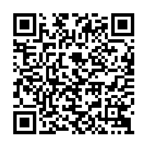 听说顾倾欢现在已经接拍了宋词宋导演的新电影二维码生成