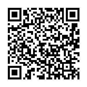 吴岩现在虽然无法查看到数万里外交战双方的惨烈大战二维码生成