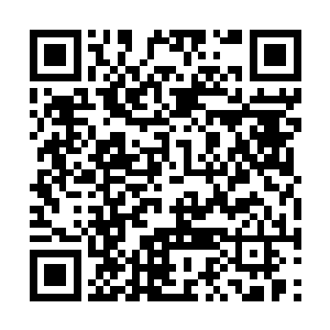 吴岩看到天巫箭匣中封印的的确是一支巨大的骨箭二维码生成