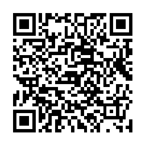 吴虎臣冷冷地扫了一样躺在地上死不瞑目的戚瑞成一眼二维码生成
