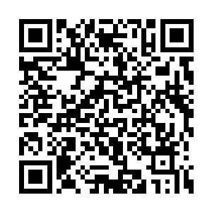 吴雨辰确定刚才柯子华肯定是和丁二狗通的电话二维码生成