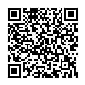 吸收的速度不比先前梅林在大殿祭炼时的速度慢二维码生成