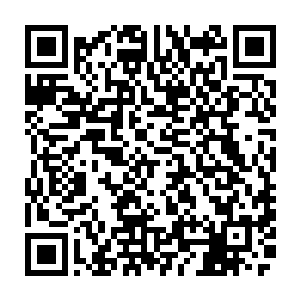 吸血鬼亲王伊利亚虽然被教皇保罗以大预言术圣化且成为了七大裁决者之一二维码生成