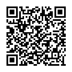 吸血鬼的翅膀是他们体内的骨骼伸展出来形成的二维码生成