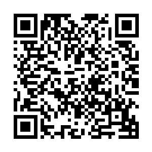 吼吼……小圆满血卫因为忌惮林青珊的吞噬而停滞不前二维码生成