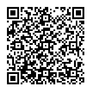 呆在皇宫中的国王陛下也只有露出一副愁眉苦脸的样子眼睁睁的看着烈焰佣兵团不断的壮大二维码生成