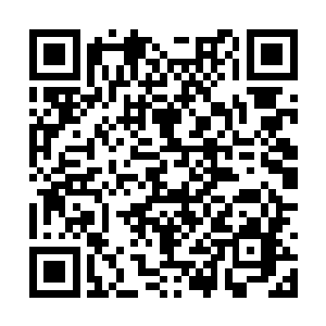 呈一副血淋淋的景象出现在所有无极境长老的面前二维码生成