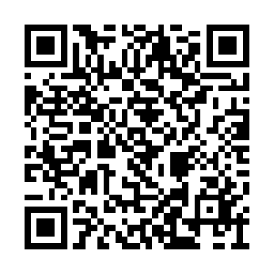 呈现在众人眼前的是一只特制的巨大钢化玻璃皿二维码生成