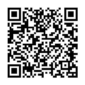 告诉杨辰的信息却是让杨辰不由愣了一下――林坤二维码生成