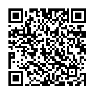 周围十来条刚才跑出去一样的黑狗不停的朝它扑过去撕咬着二维码生成