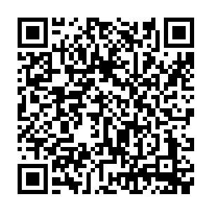 周围无数朦胧神圣光点环绕并膨胀收缩不断的顾小桑静静看着掌灯神使等人二维码生成