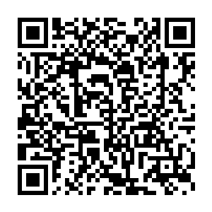 周围的升龙池之中的澎湃的能量也开始疯狂的朝着杨戬的身边汇集过来二维码生成