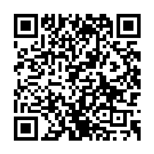 周围的建筑根本无法承受这种能量加x能力和重物理攻击的震荡二维码生成