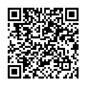 周围的混沌之气也不断的疯狂的朝着他的体内汇集过去二维码生成
