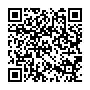 周家和荀家……那岂不是也在我们打击的范围内了二维码生成