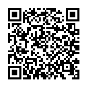 周怀礼在门口一直看着他们的车队走得看不见影子了二维码生成