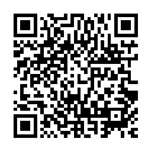 周琳菲找了专业的旅游顾问给牟晨菲定制规划了一条风景秀丽二维码生成