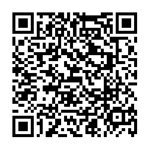 周瑜在烙阳山中暗中布置了大量的精锐守备并又在各处设置了许多的陷阱二维码生成