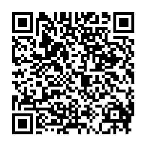 周身散发出一股飘逸气息的中年人淡淡的对着面前的一行人开口道二维码生成