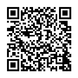 周身数不清的长达百丈的杀气凝聚的血色剑芒令其如同刺猬一般二维码生成