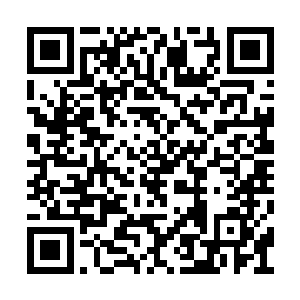 周身飞旋的盾牌能同时抵挡树妖众多手臂的进攻二维码生成