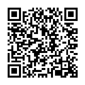 周铁国把宣传这次经贸洽谈会和演出的计划书也带来了二维码生成