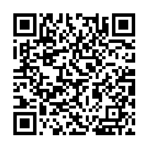 呵……你以为他是我……所以你才会打我的吧……二维码生成