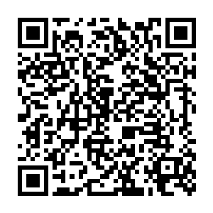 命其去他家取了他刚入手不久价值几千万的高倍数长镜头单反相机二维码生成