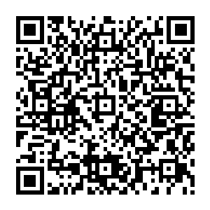 和切萨雷无数次主动发起的拥抱――多数是为了在狗仔和她之间建筑起人墙――不同二维码生成