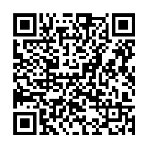 和刚才对塞蒂娅他们展现出来的冷漠完全是两回事二维码生成