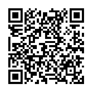 和她们几个一块合作木乃伊的事情现在还历历在目二维码生成