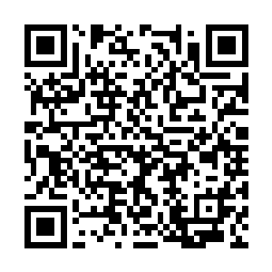 和小加藤君一起跟着端木森再修习纹身之术新内容二维码生成