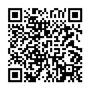 和市委书记周书记商量的结果向何振南仔细的汇报了一遍二维码生成
