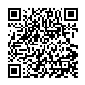 和珍妮关系相对最接近的张导演也是借着这条新闻打开了话题二维码生成