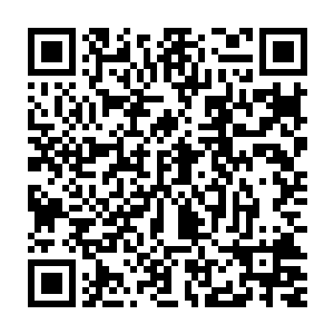 和被楚旬以十二都天神煞大阵所凝聚出来的血影巨人会是这般的强大二维码生成