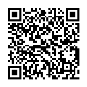 和这些已经出来站了差不多一天的小家伙们返回容孤院二维码生成