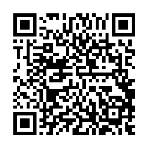 和那不知从哪里传出来的吞党与怀远堂张家的过往恩怨内幕……二维码生成