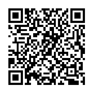和那个程序的最新版本还有当前最好的数据库软件相比呢二维码生成