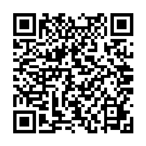 和那样熟悉的模样气息又怎么瞒得过她亲生的儿女二维码生成