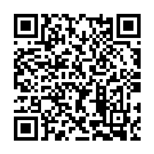 咣咣咣…抡开狼牙棒照精美的浮雕墙壁上一阵好砸二维码生成