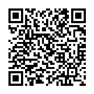 咱们认下的那些小崽子都是和咱们一样没个子孙根的二维码生成