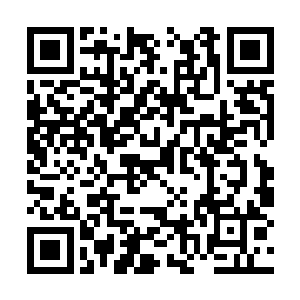 咱们该守护的不该守护的东西现在都在咱们的手上二维码生成