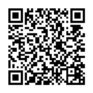 咱们还是出去看看神刀堂的第二高手小次郎到了没有二维码生成